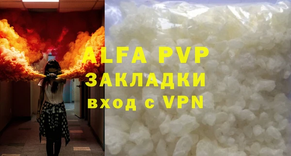 сатива Липки