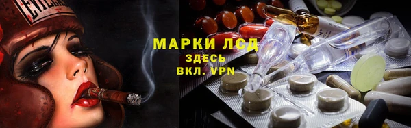 ГАЛЛЮЦИНОГЕННЫЕ ГРИБЫ Гусев