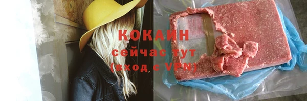 ГАЛЛЮЦИНОГЕННЫЕ ГРИБЫ Гусев