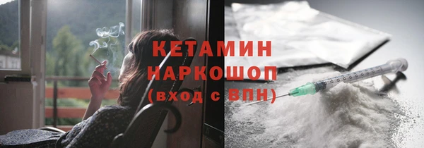 сатива Липки