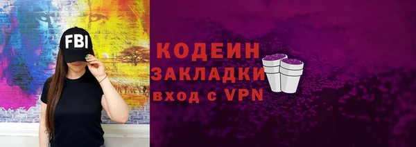 ГАЛЛЮЦИНОГЕННЫЕ ГРИБЫ Гусев