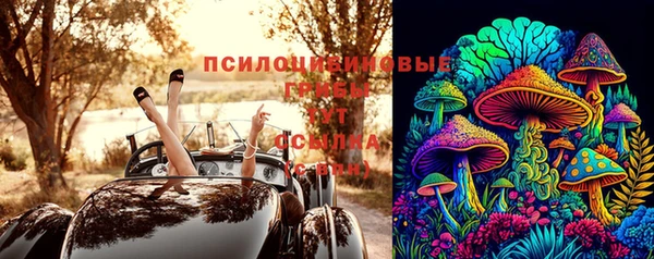 сатива Липки