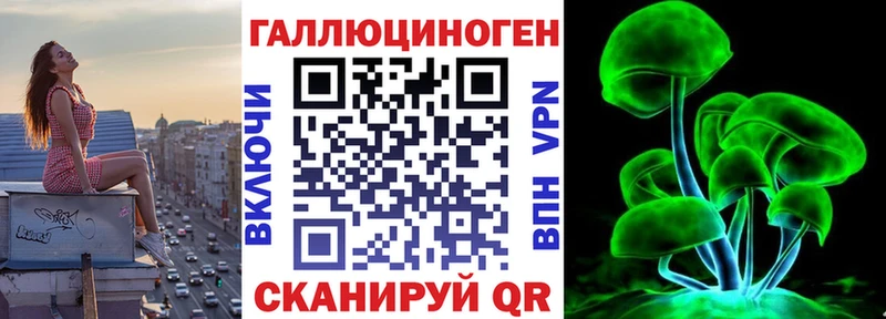 Псилоцибиновые грибы Psilocybine cubensis  Озёры 